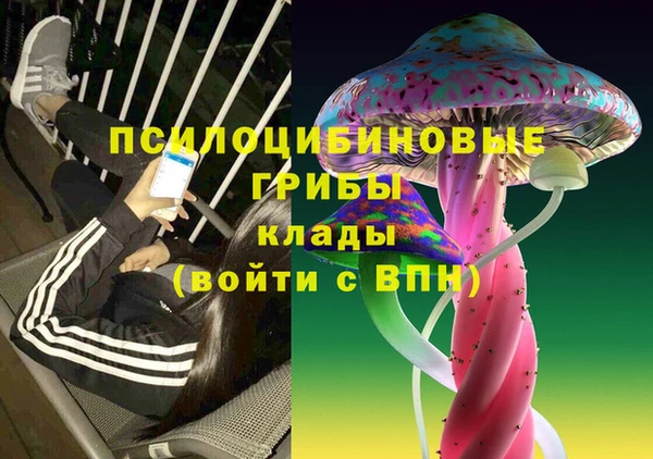 Альфа ПВП Абаза