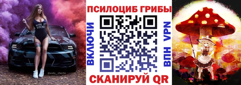 Псилоцибиновые грибы мицелий  Александров 