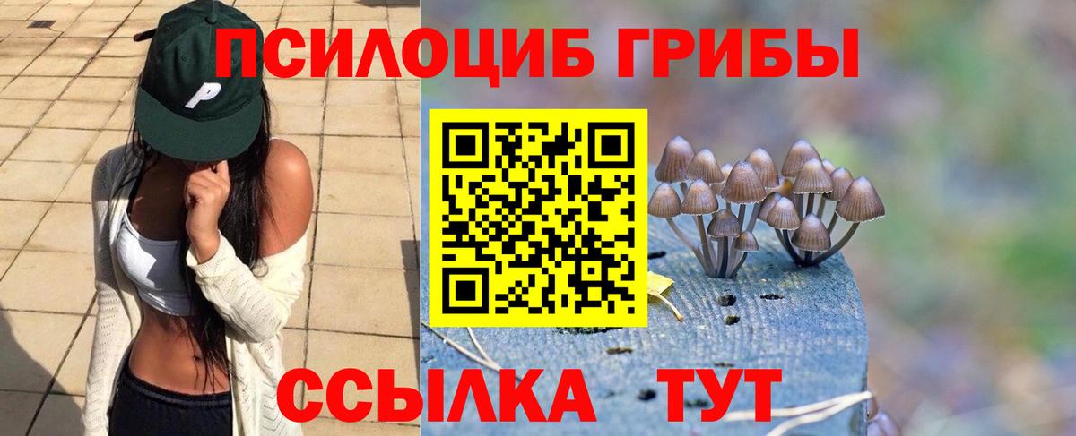Псилоцибиновые грибы Psilocybe  Вход с VPN  Александров 