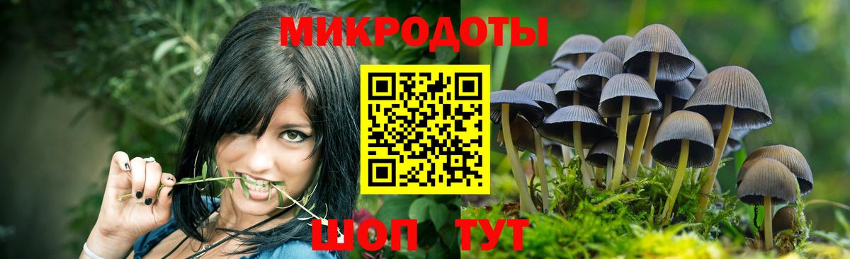 Галлюциногенные грибы MAGIC MUSHROOMS Александров